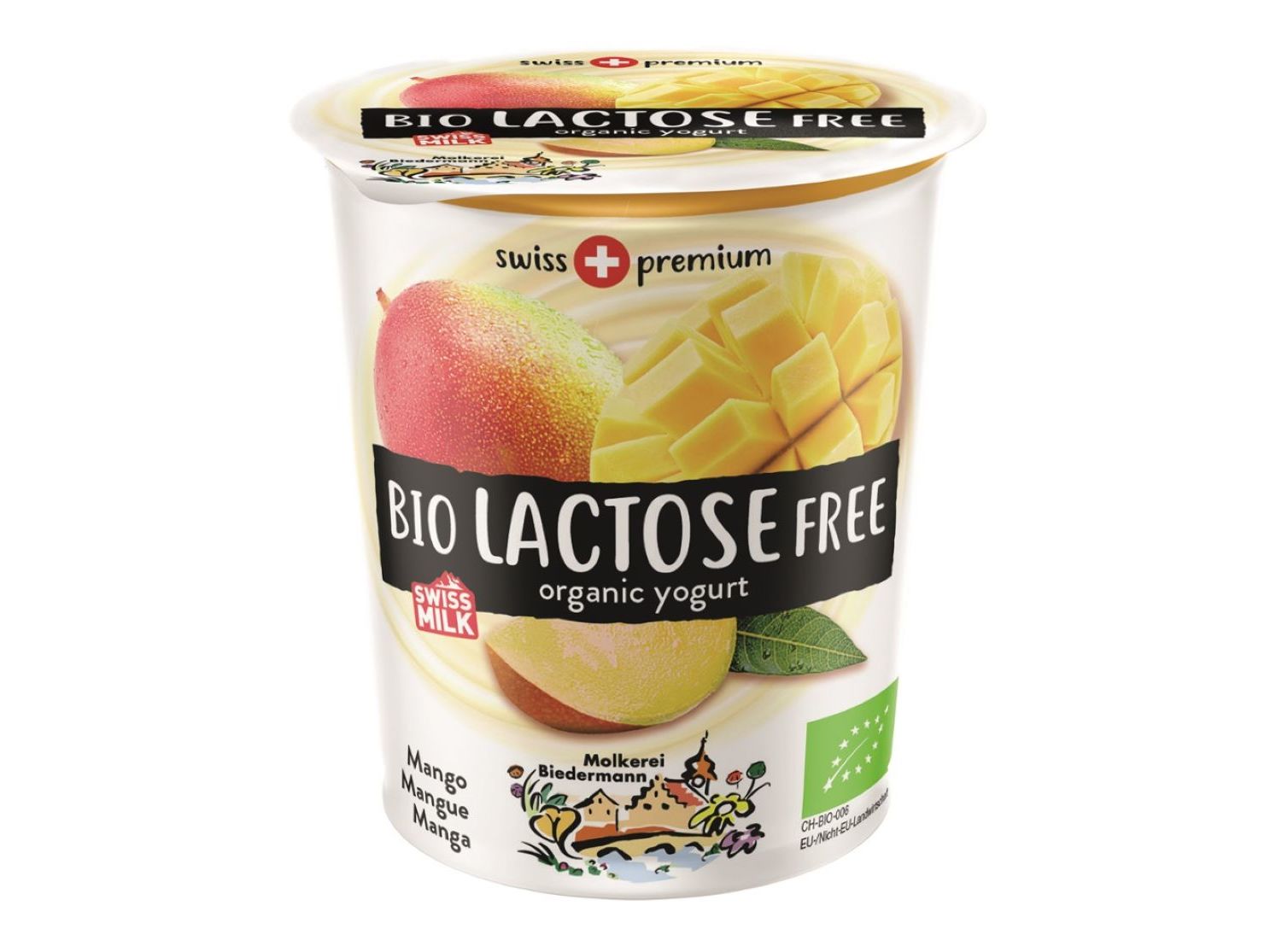 Iogurte magro sem lactose - Nutregi