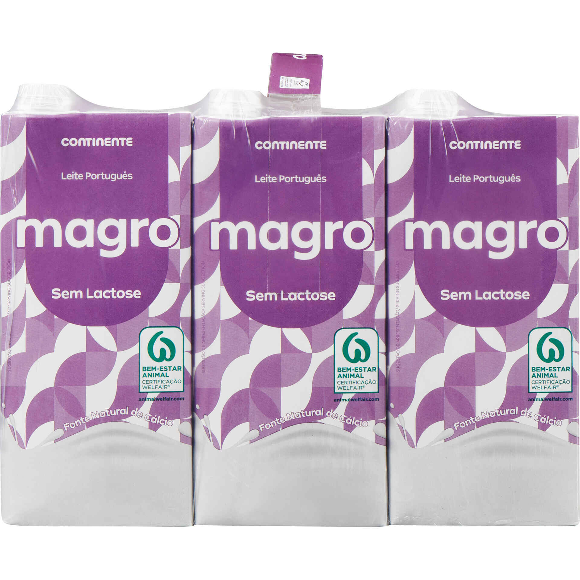 Leite Português magro Sem Lactose