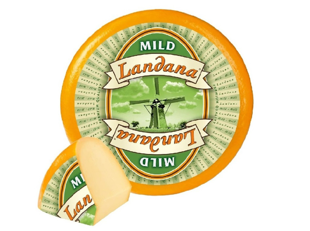QUEIJO TIPO GOUDA lpanema
