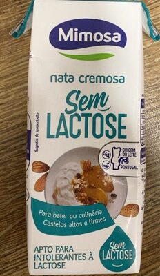 nata cremosa Sem Lactose