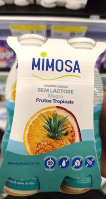 Iogurte líquido Sem Lactose Magro Frutos Tropicais