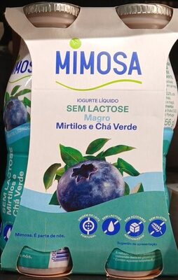 Iogurte Líquido sem Lactose Magro Mirtilos e Chá Verde