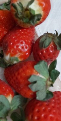 Morangos Pingo Doce