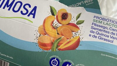 Probiótico¹ Sem Lactose Magro Pêssego, Cenoura, Sementes de Millet, de Quinoa Vermelha e de Girassol